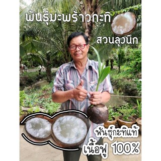 ผลิตภัณฑ์ใหม่ เมล็ดพันธุ์ เมล็ดพันธุ์คุณภาพสูงในสต็อกในประเทศไทย พร้อมส่ง ะให้ความสนใจของคุณพันธุ์มะพร้าวกะทิพว /ขายด HW