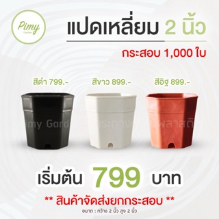 1,000 ใบ กระถางแปดเหลี่ยม 2 นิ้ว สีดำ สีขาว สีอิฐ (ยกกระสอบ ถูกสุดๆ)