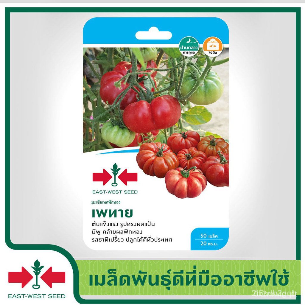 ผลิตภัณฑ์ใหม่ เมล็ดพันธุ์ 2022East-West Seed เมล็ดอวบอ้วนมะเขือเทศ (Tomato seeds) เพทาย เมล็ดอวบอ้วนผัก เมล็ดอว คล/ขา EV