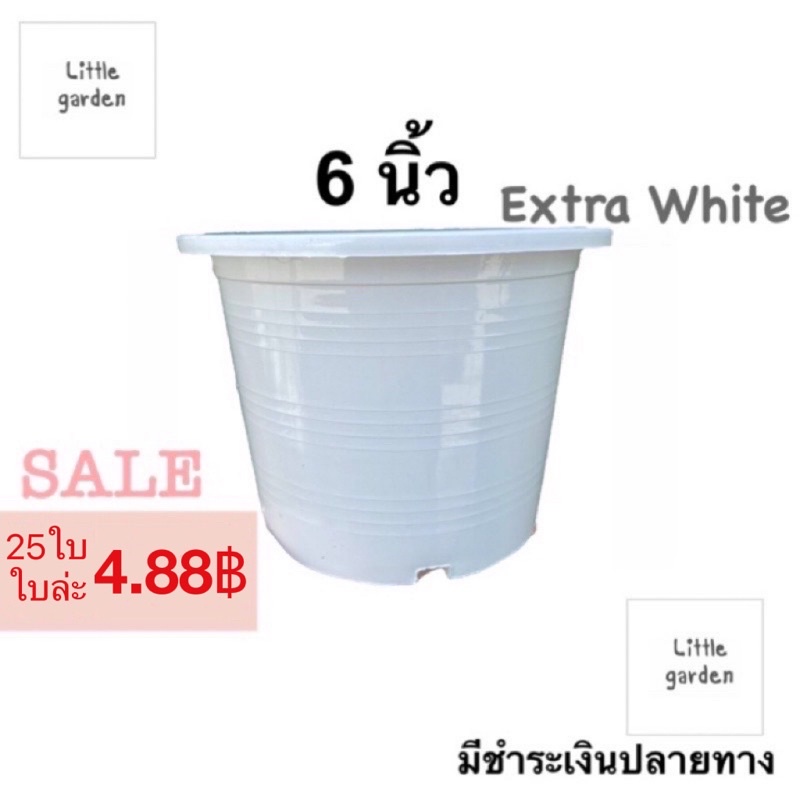 Little กระถางสีขาว 10.5 นิ้ว 10 นิ้ว(ขาวออร่าA+🤍)