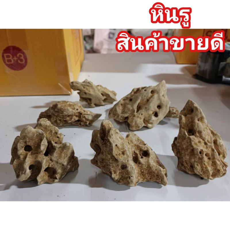 หินดราก้อน Dragon Stones หินตกแต่งตู้ไม้น้ำ หินตกแต่งตู้ปลา หินจัดสวน พร้อมส่งจากไทย