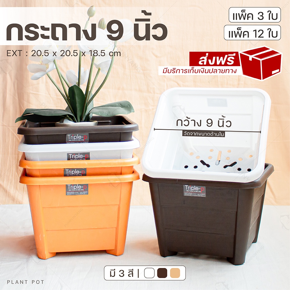 [แพ็ค 3 ใบ และ 12 ใบ] กระถางต้นไม้ สี่เหลี่ยม กระถางพลาสติก #รุ่น 444 กระถางสวยๆ มีหลายสีให้เลือก ระบายน้ำได้ดี