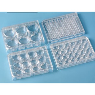 Microplate จานหลุมพลาสติกใส 24, 48 96 หลุม ปราศจากเชื้อพร้อมฝาปิด ขาย 1 ชิ้น/แพ็ค (พร้อมส่ง)