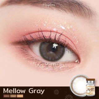 คอนแทคเลนส์ Mellow brown&amp;gary แบรนด์maya เลนส์ธรรมชาติ ใส่เที่ยว ใส่เรียน