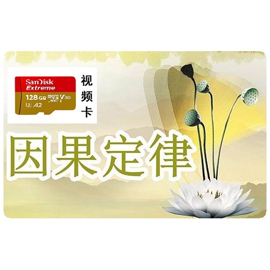 ผลงานที่สมบูรณ์ของครูการศึกษา Cause Liu Yuzhen การ์ดหน่วยความจําวิดีโอพุทธ PH4