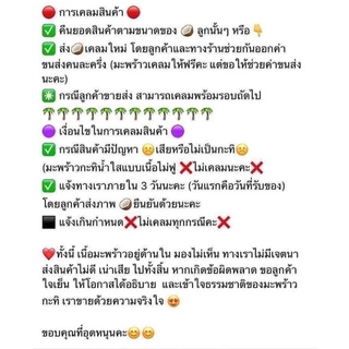 🥥ราคาดีที่สุด มะพร้าวกะทิทับสะแก มะพร้าวกะทิเนื้อฟูนุ่ม ทานอร่อย ส่งตรงจากสวนทับสะแกทุกลูก