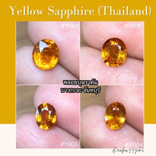 yellow sapphire พลอยบุษราคัม บางกะจะ จังหวัดจันทบุรี พลอยไทย พลอยแท้100%