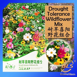 ผลิตภัณฑ์ใหม่ เมล็ดพันธุ์ จุดประเทศไทย ❤K007 DROUGHT TOLERANCE FLOWER GODDESS VEGETABLE FLOWER FRUIT HERB SEEDเมล็/เมล็