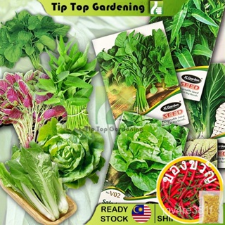 JC Garden vegetable Series V01-v17เมล็ดพันธุ์ผักสวนปลูกพืชผัก แอปเปิ้ล/เมล็ดพืช/ กอบกู้ WVZB