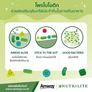 นิวทริไลท์ โพรไบโอติก แอมเวย์ Nutrilite PROBIOTIC ปรับสมดุลร่างกาย (ของแท้💯 ช้อปไทย) บรรจุ 30 ซอง 🛒พร้อมส่ง