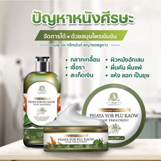 [ส่งฟรีของแท้100%] แชมพูครีมนวด Anyaa อัญญา พญายอ พลูคาว รักษาปัญหาหนังศีรษะ เชื้อรา ผมงอก ผมร่วง กลากเกลื้อน รังแค