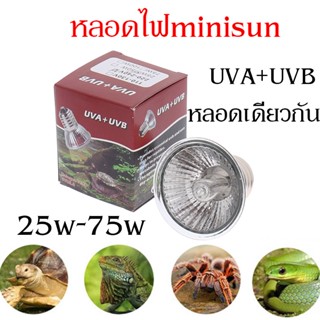 หลอดไฟให้ความร้อน MiniSun UVA​/UVB​ 3.0​ หลอดไฟกกสัตว์ ไฟกกเต่าน้ำ​​ เต่าบก​ สัตว์เลื้อยคลาน ใช้กับขั้วหลอดไฟเซรามิค​ได้