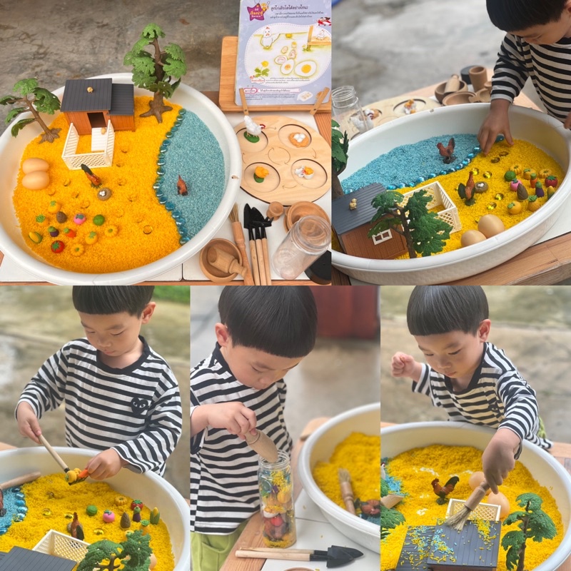 Chicken life cycle Sensory play วงจรชีวิตไก่ วงจรชีวิตสัตว์(พร้อมส่ง )