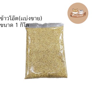 ข้าวโอ๊ต เกรดนำเข้า อาหารเสริมสำหรับนก หนู ขนาด 1 kg