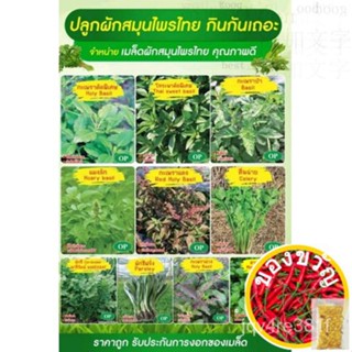 Phantira-ประเภทต่างๆของเมล็ดผักไทย/เมล็ดผักเมล็ดเมล็ดพืชผักเมล็ด แอปเปิ้ล/หมวก/ BAE9