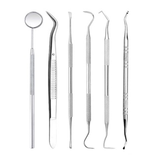 3/4/5/6Pcs/set Oral Care Cleaning Tools Stainless Steel
