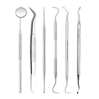 3/4/5/6Pcs/set Oral Care Cleaning Tools Stainless Steel