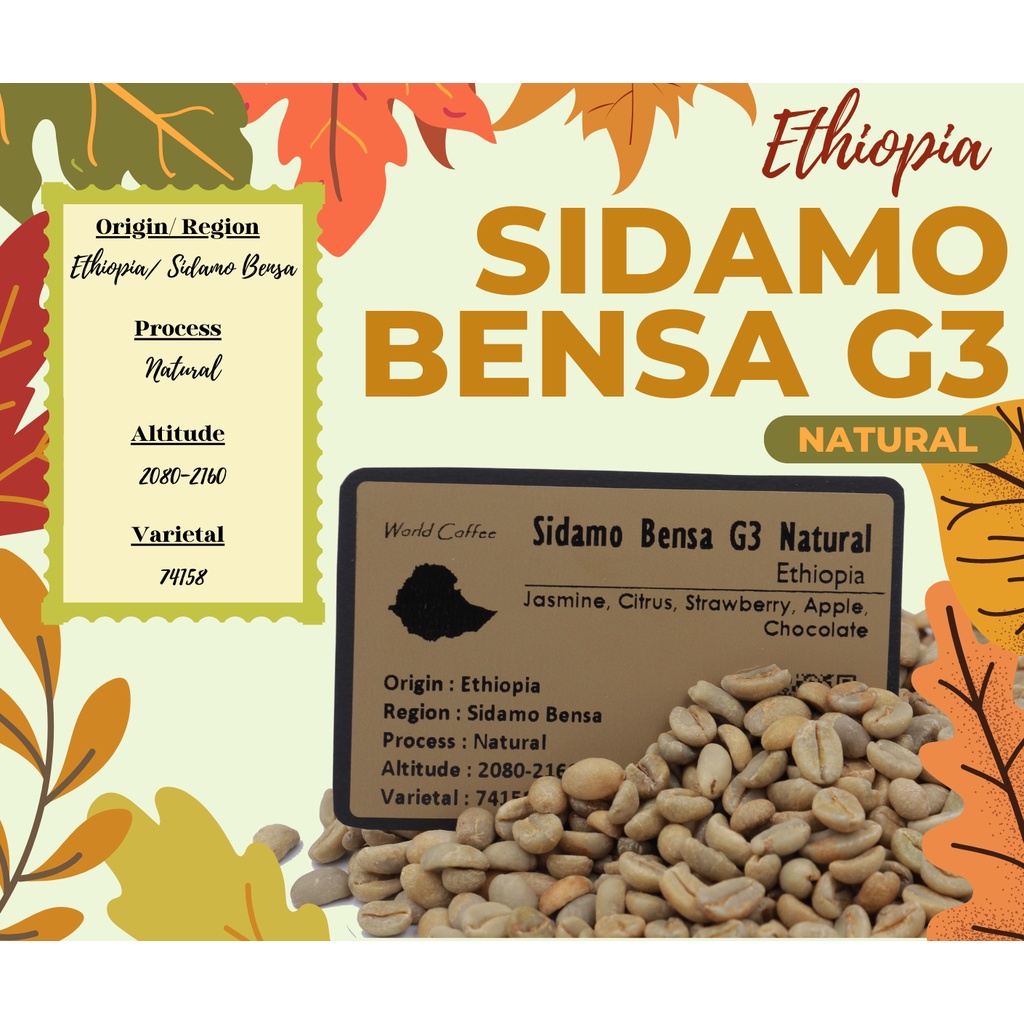 พร้อมส่ง เมล็ดกาแฟดิบ Sidamo Bensa G3 Natural process/ เมล็ดกาแฟนอก/ เมล็ดกาแฟสารเอธิโอเปีย