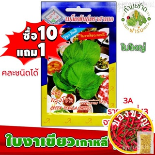 [10แถม1] 3A เมล็ดพันธุ์ ใบงาเขียวเกาหลี ประมาณ 500 เมล็ด /ซอง ตราสามเอ เมล็ดพันธุ์ผัก เมล็ดผัก เมล็ดพืช ผักสวนครัว ปลูกผ