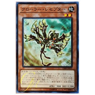 [CIBR-JP019] Krawler Receptor (Common)