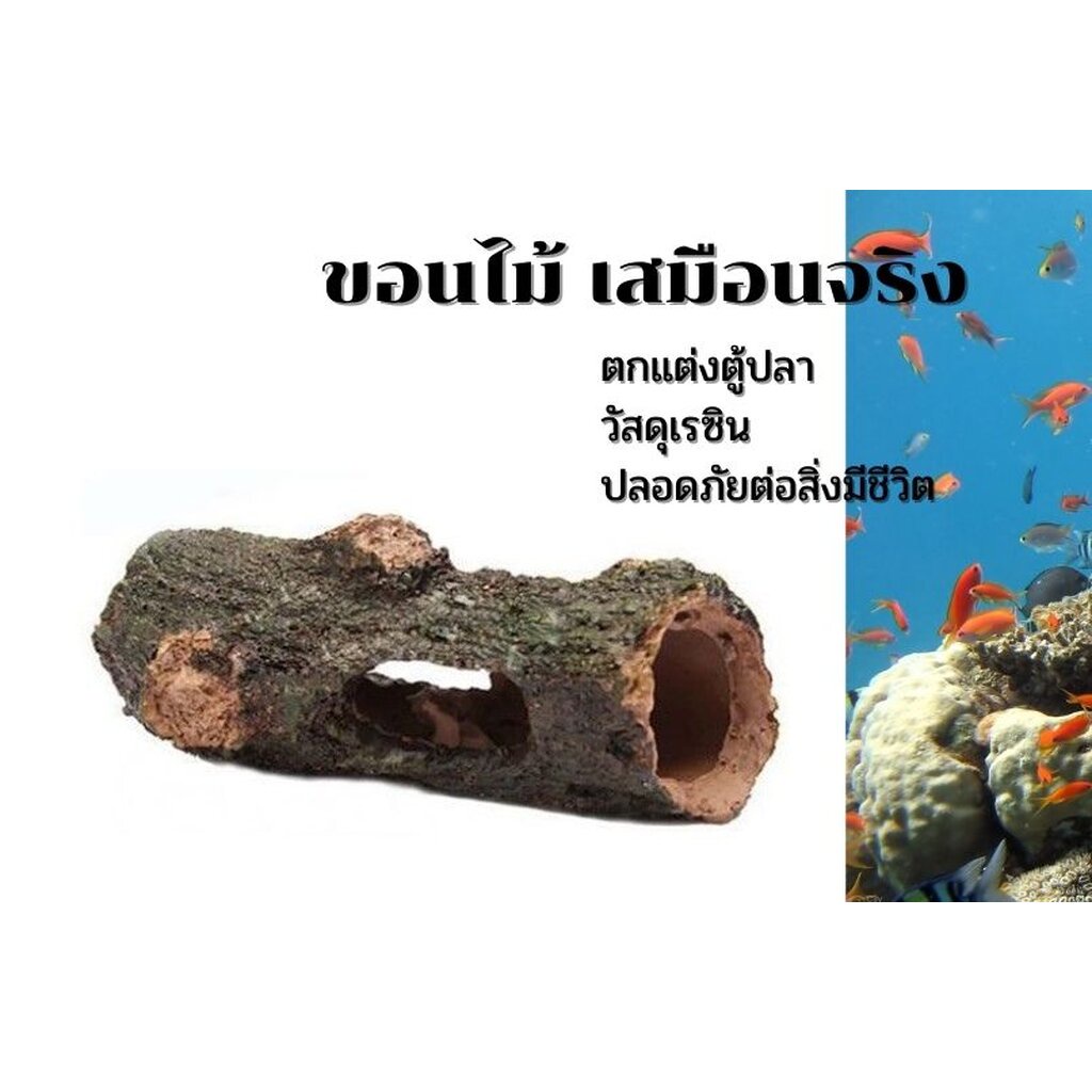 อุปกรณ์ตกแต่งตู้ปลา กองขอนไม้ ตู้ไม้น้ำ มอสเฟิร์น เรซินเสมือนจริง ปลอดภัยต่อสิ่งมีชีวิต ส่งจากไทย