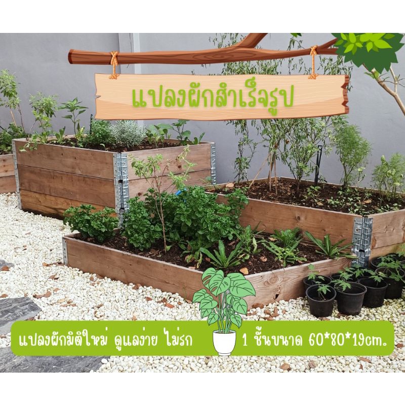 แปลงผักสำเร็จรูป กระบะผัก 60*80*19cm.