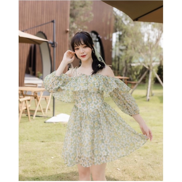 เดรสเดซี่ on.december (s)