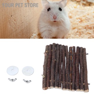 Your Pet Store เปลไม้แขวน ของเล่น สําหรับหนูแฮมสเตอร์ หนูตะเภา และสัตว์ขนาดเล็กอื่น ๆ