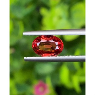 พลอย ทับทิม ซองเจีย (Songea Ruby Sapphire) 1.42 กะรัต (Cts.) พร้อมใบเซอร์ พลอยแท้ อัญมณีมงคลประจําวันเกิด เครื่องประดับพ