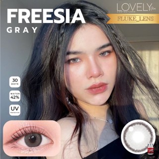 กำลังฮิต ⭐️ Freesia gray brown ⭐️ แนวฝอแบบไม่ดุ เลนส์กรองแสง ใส่สบาย Made in Korea 🇰🇷