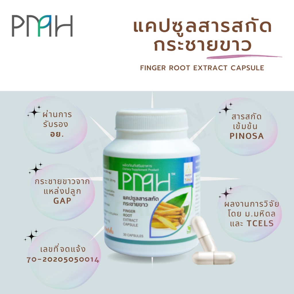 แคปซูล สารสกัดกระชายขาว ตรา PMH สมุนไพรสร้างภูมิคุ้มกันต้านไวรัส