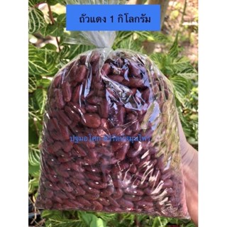 ถั่วแดงหลวง ปฐมอโศก 1000g