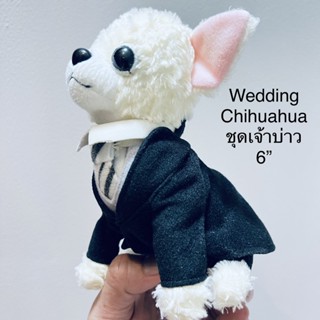 #ตุ๊กตา #ชิวาว่า #หมาพันธุ์เล็ก #สูง6” #ป้าย #Wedding #Chihuahua #ตั้งโชว์ได้ #ลิขสิทธิ์แท้ #ชุดเจ้าบ่าว #น่ารัก #Dog