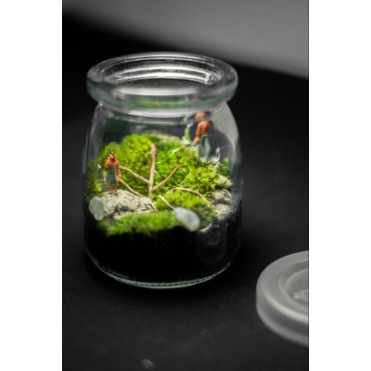 สวนขวดแก้ว(Terrarium)ขนาดเล็กมินิมอล ราคา ถูกที่สุด ดีลบีเคเค แกลเลอรีภาพที่ 3
