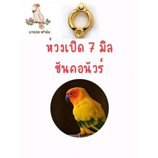 พร้อมส่งในไทย🇹🇭 ห่วงเปิดนกแก้ว สีทอง สีโรสโกลด์ สีดำ สีเงิน💯