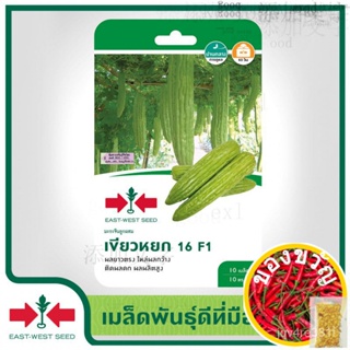 East-West Seed เมล็ดพันธุ์มะระจีน (Bitter gourd seeds) เขียวหยก 16 F1 เมล็ดพันธุ์ผัก เมล็ดพันธุ์ ผักสวนครัว เมล็ดพันธ/种子