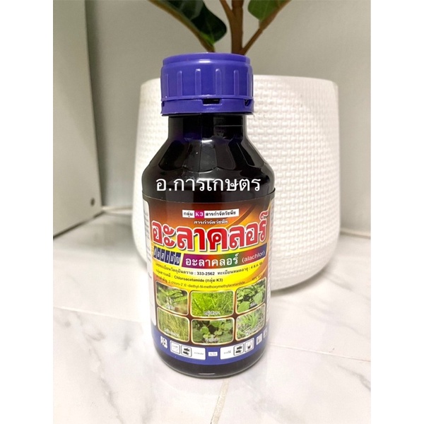 ใช้โค้ตพร้อมกันได้ !! ยกลัง !! อะลาคลอร์ ขนาด 500cc 12ขวด ยาคุมหญ้า ผัก มันสำปะหลัง อ้อย ข้าวโพด