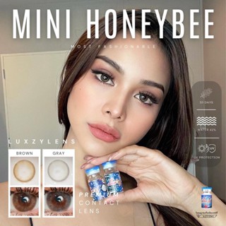 คอนแทคเลนส์🌈Mini Honey Bee🌈 Brown/Gray (Luxzylens) ขนาดมินิ💖ขายดี🍭