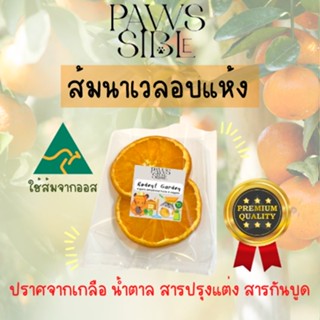 [Paws-sible] ส้มนาเวลอบแห้ง ส้มอบแห้ง อาหารแฮมเตอร์ อาหารแฮมสเตอร์ อาหารกระรอก อาหารชูการ์ อาหารชูการ์ไกรเดอร์