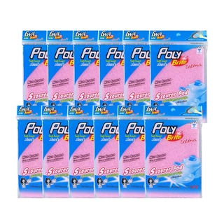 (ยกแพ็ก) Poly-Brite โพลี-ไบรท์ แผ่นใยขัดละเอียด (12 ชิ้น) ไม่เป็นรอย ขัดเทฟลอน เครื่องแก้ว จานชาม ทนทาน ขนาด 10x15 ซม.