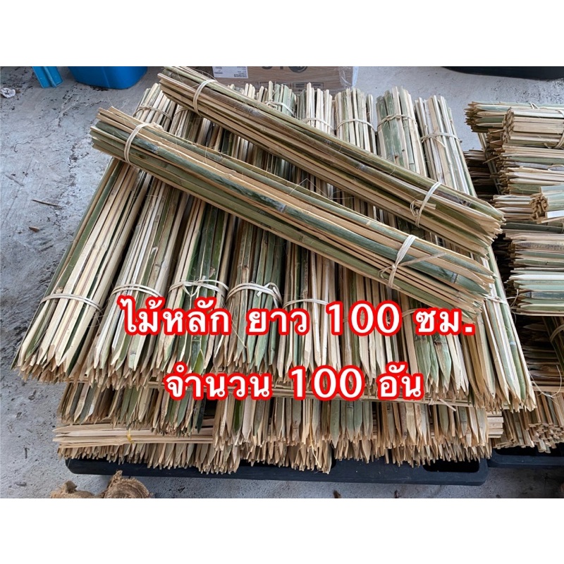 ไม้หลักยึดต้นไม้ ปลายแหลม ยาว 100 ซม. จำนวน 100 อัน ป้องกันลำต้นโยก  ช่วยพยุงลำต้นและเสริมความมั่นคงให้ต้นไม้