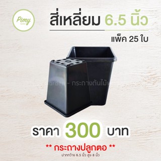 กระถางต้นไม้ กระถางปลูกตอ ทรงสี่เหลี่ยม สูง 6.5x8 นิ้ว สีดำ 25 ใบ