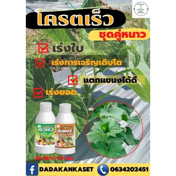 เรวเร่ว+ซินเคอร์ ชุดเร่งโต ฤดูหนาว ชุดปรับสภาพอากาศ หนาวจัด ร้อนจัด โตไวไว โตโคตรไว แตงกวา พริก ถั่ว มะเขือ