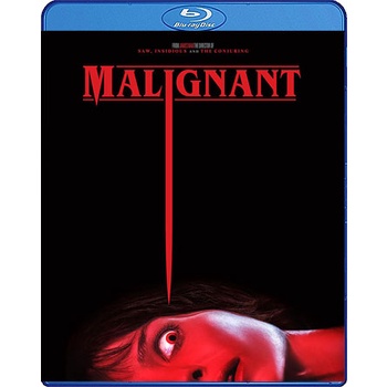 Bluray เสียงไทยมาสเตอร์ Malignant มาลิกแนนท์ ชั่วโคตรร้าย
