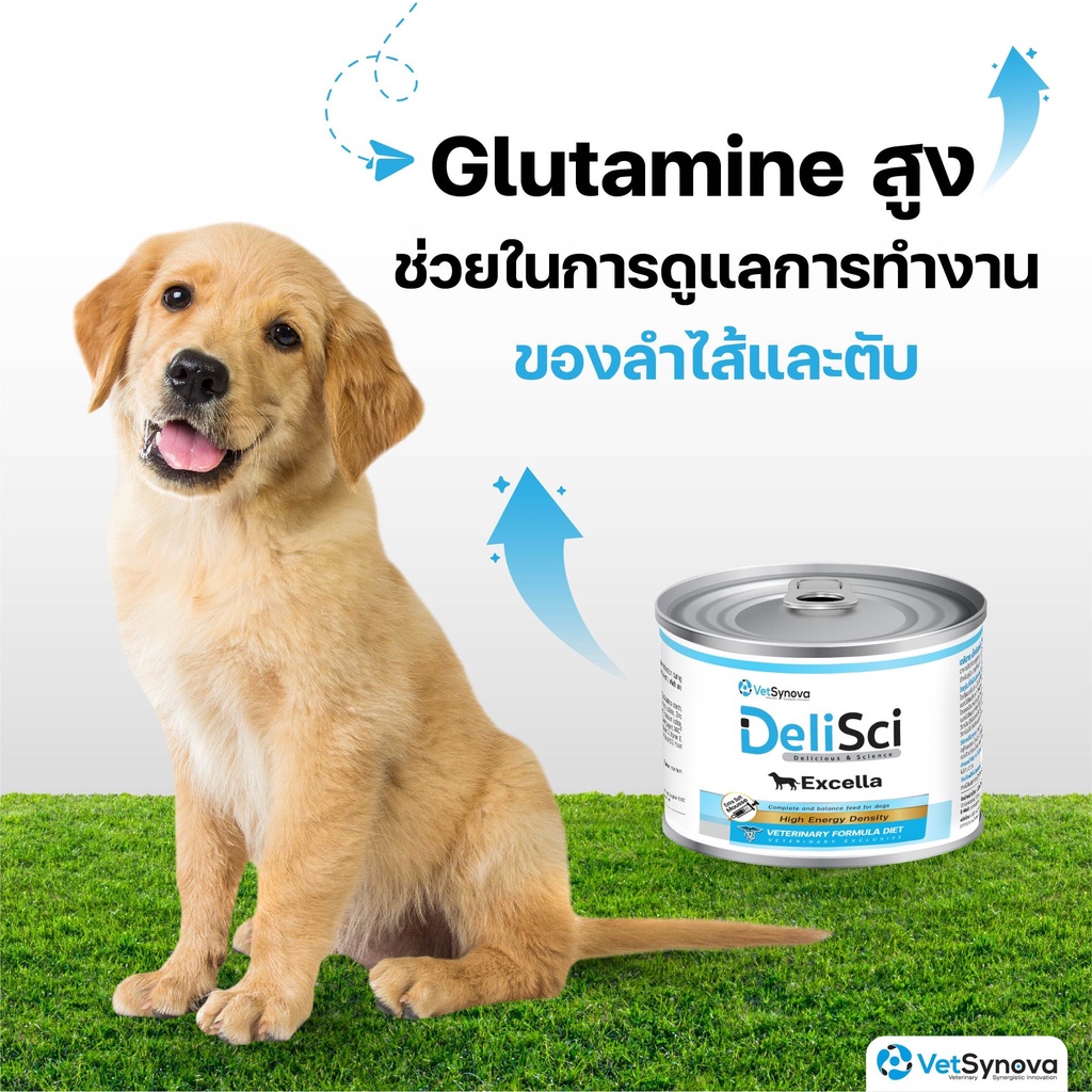 DeliSci Excella Excellent for recovery อาหารฟื้นฟูสําหรับสัตว์ป่วย ขาดสารอาหาร และพักฟื้นหลังการผ่าตัด สูตรไก่และสูตรปลา
