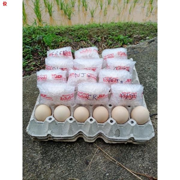ของว่า งไข่เชื้อไก่ชนสายเลือดเจ้าเยียร์สุวรรณแชมป์16,500,000บาท📌ส.มีสุวรรณแท้100%Supervip