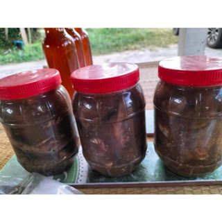 ปลาร้าปลากระดี่ ปลารวม