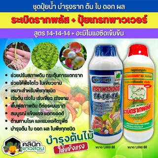 🥬 ชุดปุ๋ยน้ำ ระเบิดรากพลัส+เกรทพาวเวอร์ (สูตร14-14-14+อะมิโนแอดซิดเข้มข้น) บำรุงราก ต้น ใบ ดอก ผล