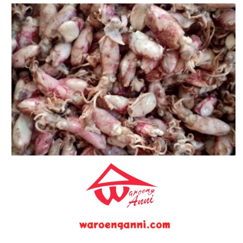 Indonesia Cumi Asin Baby Basah / Fresh Wet Baby Squid ,150 gram