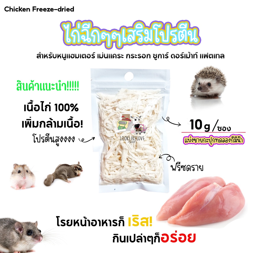 อกไก่อบเเห้ง ไก่ฉีก แบบลูกเต๋า โรยหน้าอาหาร อาหารเสริมเพิ่มโปรตีน แฮมเตอร์ ชูการ์ เม่นเเคระ กระรอก สัตว์เล็กอื่นๆ